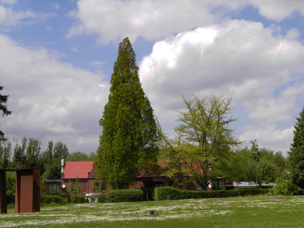Weg zur Gärtnerei Ginkgo