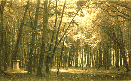 historische Aufnahme Römerstein